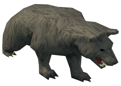 Bear