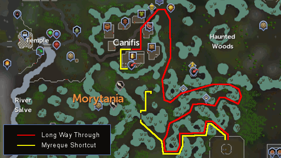 Mort Myre Swamp Route