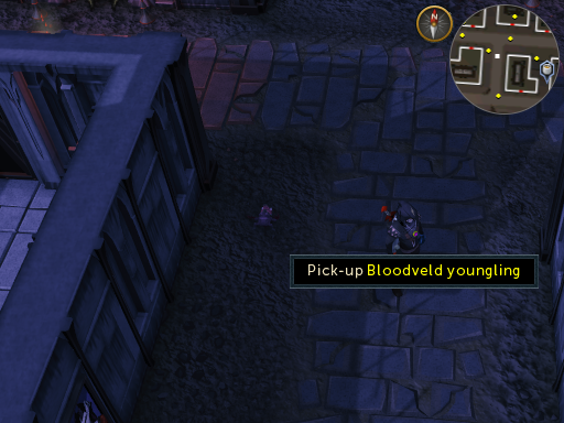 Bloodveld