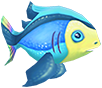 Rainbow fish